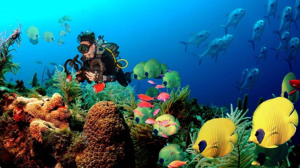 Underwater Adventure